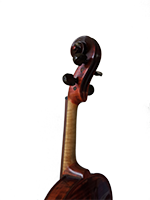 Violina 4 Vrat Pozadina